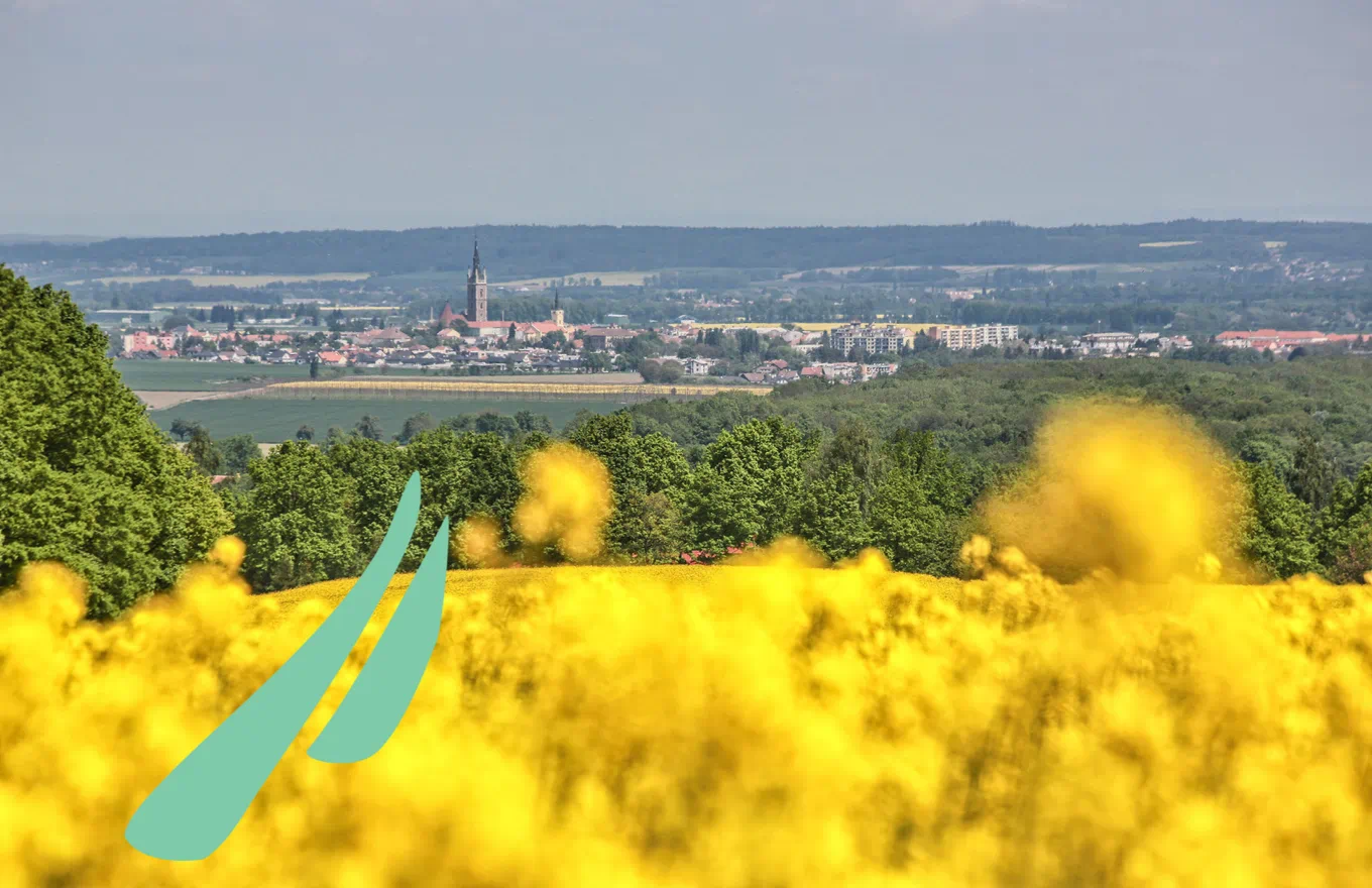 Elektronické úřední desky pro Mikroregion Čáslavsko